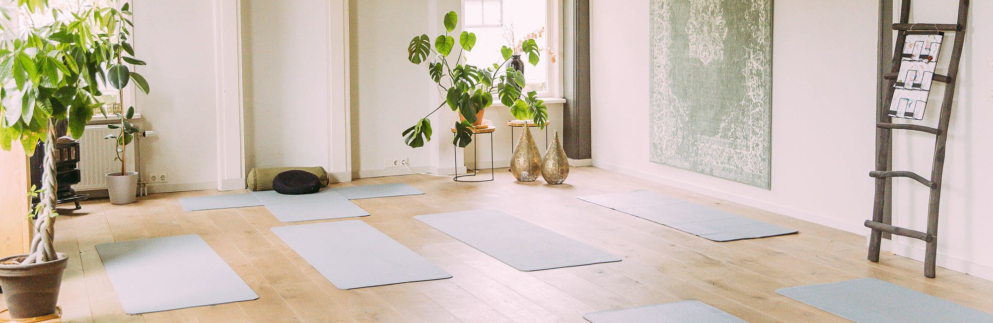 yoga friesland-5 yin yoga friesland